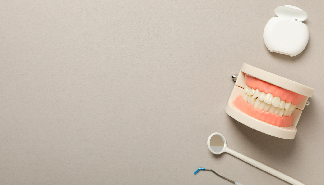 Dental model displaying upper and lower teeth with pink gums, alongside a mirror and dental tools on a beige background.